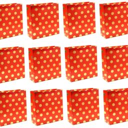 Printed Party Bag-6