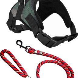 Saway Export Quality Dog Military Green NECK & CHEST STRIP HARNES & RED ROPE Dog Training Harness-image-70