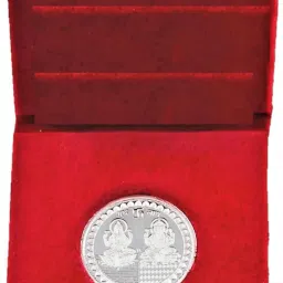 66 S 999 5 g Silver Coin-image-97