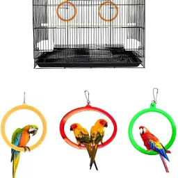 Bird Cage Hanging Ring Plastic Swing Toy (Pack of 3) Interactive Play for Birds Plastic Training Aid For Bird-15