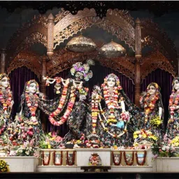 Model No- 1111 Radha Krishna Mayapur Dhaam Wallpaper (12x24 Size) Photographic Paper-image-50