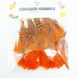 Small Soft Dot Feather Pack of 100 Pieces for Craft Decor DIY (Orange)-image-31
