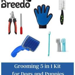 Combo Of 5 Slicker + Nail Clipper + Comb + Gloves + Teeth Brush Grooming Kit Basic Comb forDog & Cat, Dog, Monkey, Rabbit, Hamster-12