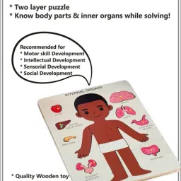shalafi Montessori Inside Part of Body Organ Puzzle Learn Human Body Part Learning Toy image 4