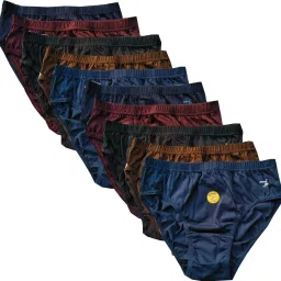 Pack of 10 Women Hipster Multicolor Panty-image-47