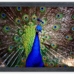 painting for wall Digital Reprint 13 inch x 10 inch Painting-image-47
