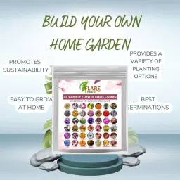 flare seeds 40 Variety Flowers Seeds Combo Pack Bloom Your Garden Seed image 4