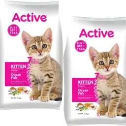 (Buy 1 Get 1 Free) Kitten Ocean Fish 2.4 Kg Dry Young Cat Food-picture-25