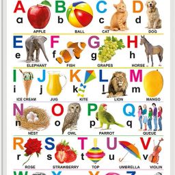 Alphabet Early Learning Educational Chart for Kids | 20"X30" inch |Non-Tearable and Waterproof | Double Sided Laminated | Perfect for Homeschooling, Kindergarten and Nursery Students Paper Print-image-10