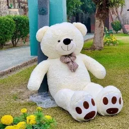 KT Stuffed Spongy Soft Cute Teddy Bear (White Color)(4 Feet)-19 - 120 cm-picture-16
