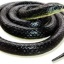 Fake snake Snake Gag Toy-image-99
