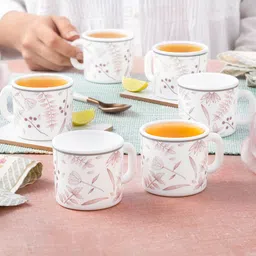 Larah by BOROSIL Premia Series Grandeur White 6Pcs Floral Printed Opalware Cups 100ml Each-31