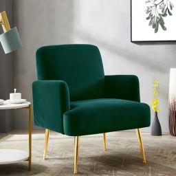 casacraft from pepperfry Esme Velvet Armchair In Green Colour-picture-49