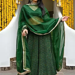 Lavanya The Label Green & Gold-Toned Printed Ready to Wear Lehenga & Blouse With Dupatta image 5