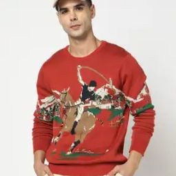 Men Graphic Print Regular Fit Round-Neck Pullover-image-50
