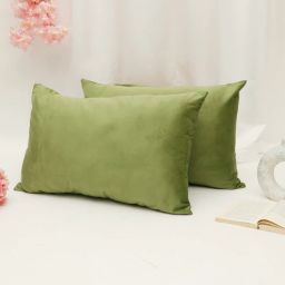 the conversion Green Solid 200 TC Velevt 2 Pillow Covers-picture-42