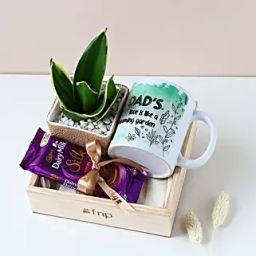 Purifying Plant N Sweet Treats Hamper for Dad-image-6