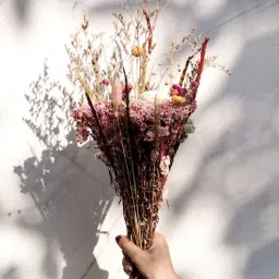 artecasa Serene Multicolour 1 Bunch Natural Dried Flowers-picture-2