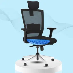 the sleep company Stylux SmartGRID Ergonomic Chair In Black Colour-picture-37