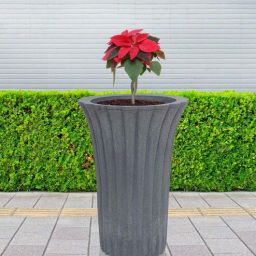 nora Palm Grey Polyethylene Floor Planter-picture-43