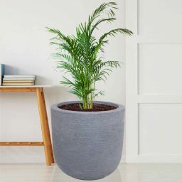 nora Big Iris Grey Polyethylene Floor Planter-picture-38