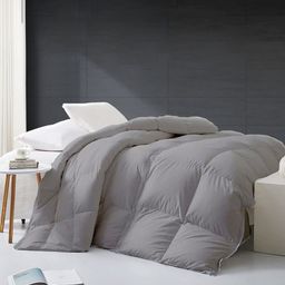 RAZZAI Silver-Toned Microfiber Mild Winter 500 GSM Single Bed Comforter-image-93