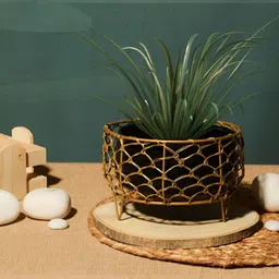 Homspurts Luxurious Black Eco Friendly Round Planter-picture-12