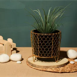 Homspurts Black & Gold-Toned Metal Planter With Stand-5
