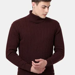 t-base Men Maroon Ribbed Pullover-image-33