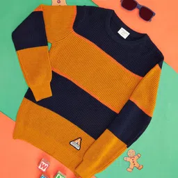Pantaloons Junior Boys Colourblocked Acrylic Pullover-image-27