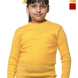 IndiWeaves Girls Pack Of 3 High Neck Woollen Pullover Sweater-image-60