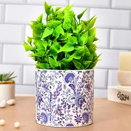 TAYHAA White & Blue Floral Printed Ceramic Planter-image-90