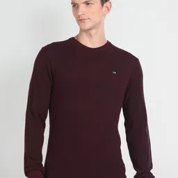 Arrow Sport Round Neck Pullover Sweater-picture-12