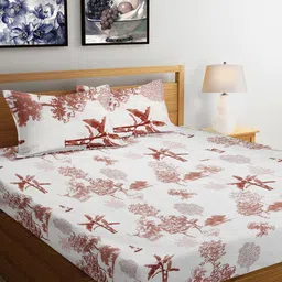 Arrabi Cream Coloured & Brown Floral Printed 300 TC King Bedsheet with 2 Pillow Covers-40