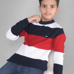 Crimsoune Club Boys Colourblocked Long Sleeves Pullover-image-37