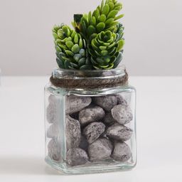 Home Centre Transparent & Green Corsica Eden Artificial Plant Glass Jar-image-10