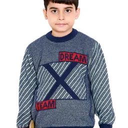BAESD Boys Cable Knit Round Neck Long Sleeves Ribbed Pullover Sweaters-picture-0