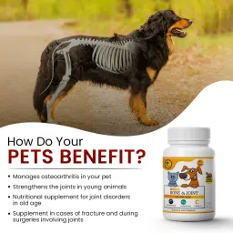 petheeds Bone and Joint Chewable Tablets with Lucious Chicken Flavored for Dog/Cat Pet Health Supplements image 3