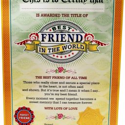 Best Friend in The World Certificate - Unique Gifts for Friend Greeting Card-image-10