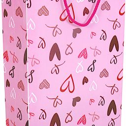 nippy Printed Party Bag image 5