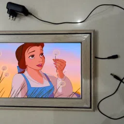 , CINDERELLA MODAL NO-32 , 15.5 inch LED PHOTO FRAME-36