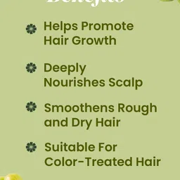 VITMINVEDA Argan Amla Mulethi Shampoo to Reduce Frizz - 200 ml image 5