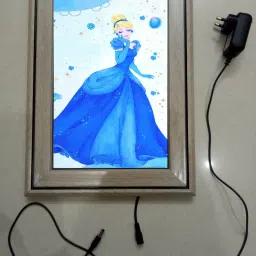 , CINDERELLA MODAL NO-42 , 15.5 inch LED PHOTO FRAME-picture-13