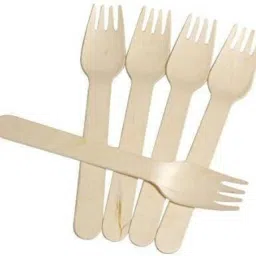 Disposable Wooden Dinner Fork Set-17