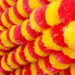 risempire Artificial Garland Money Plant Leaf Bail,Wall Hanging(Pack of 5 Strings) Multicolor Marigold Artificial Flower image 2