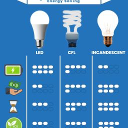 philips 0.5 W Basic Standard Plug & Play Night Bulb image 4