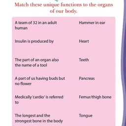 Dreamland Kid's 5th Activity General Knowledge Book image 3