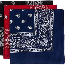 Bismaadh 100% Cotton Paisley Pattern Bandanas Face Mask Square Scarf Headwear ["Black","Red","Blue"] Handkerchief-image-43