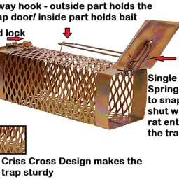 irony Rat Trape , Mouse Trape for Live Rat Catch easy to set-up Live Trap image 3