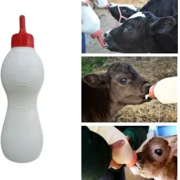 Bethlehem Calf Milk Feeding Bottle with Food Grade Quality Nipple 2 Litre Feeding Cloak-image-63